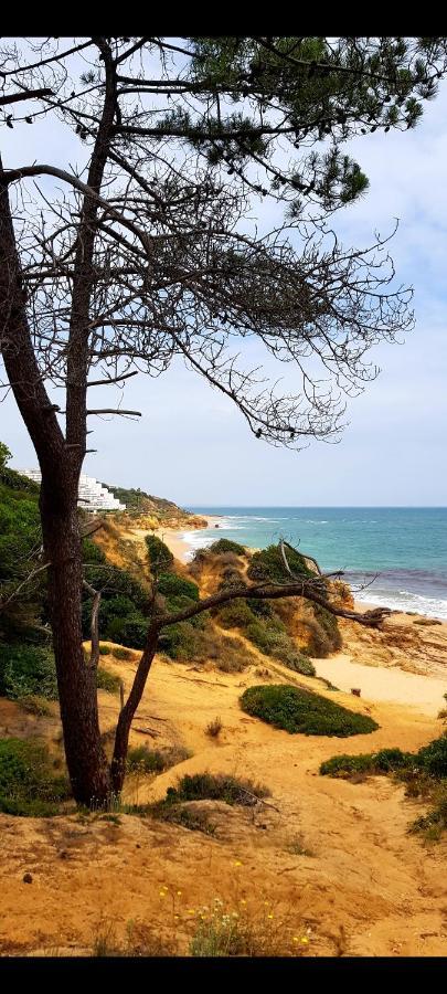 Albufeirasun, Arrive As A Guest Leave As A Friend. Διαμέρισμα Εξωτερικό φωτογραφία